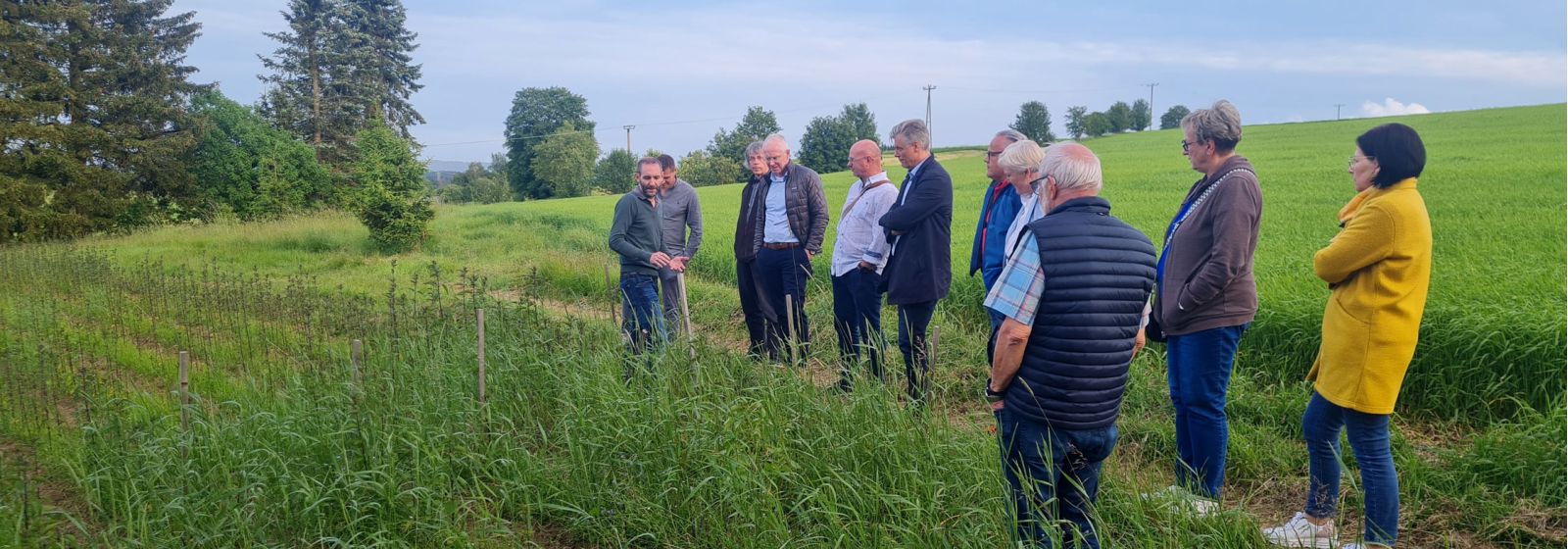 Mitglieder von winFORS lassen sich eine Brennesselzucht zeigen